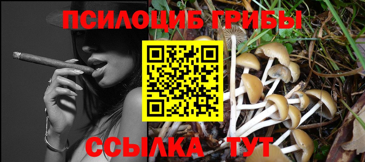 где найти наркотики  Вход с VPN  Галлюциногенные грибы прущие грибы  Прокопьевск  Галлюциногенные грибы мухоморы 